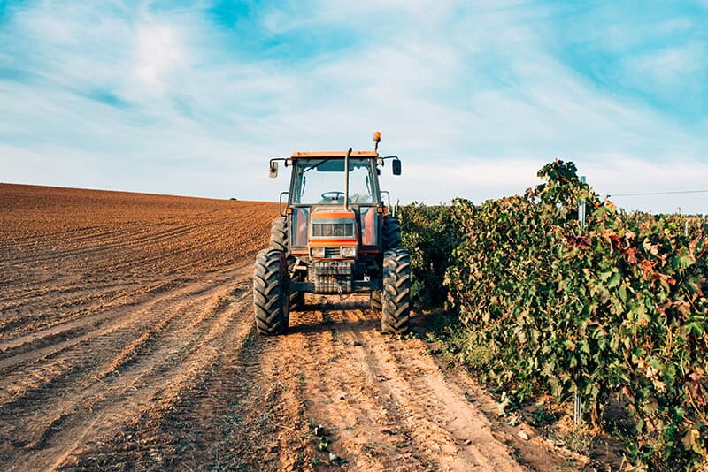 tractor-vineyard.jpg tractor-vineyard.jpg